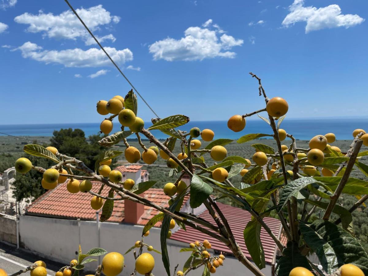 Villetta - Qui Dove Il Mare Luccica - Affitti Brevi Italia Монте-Сант'Анджело Экстерьер фото