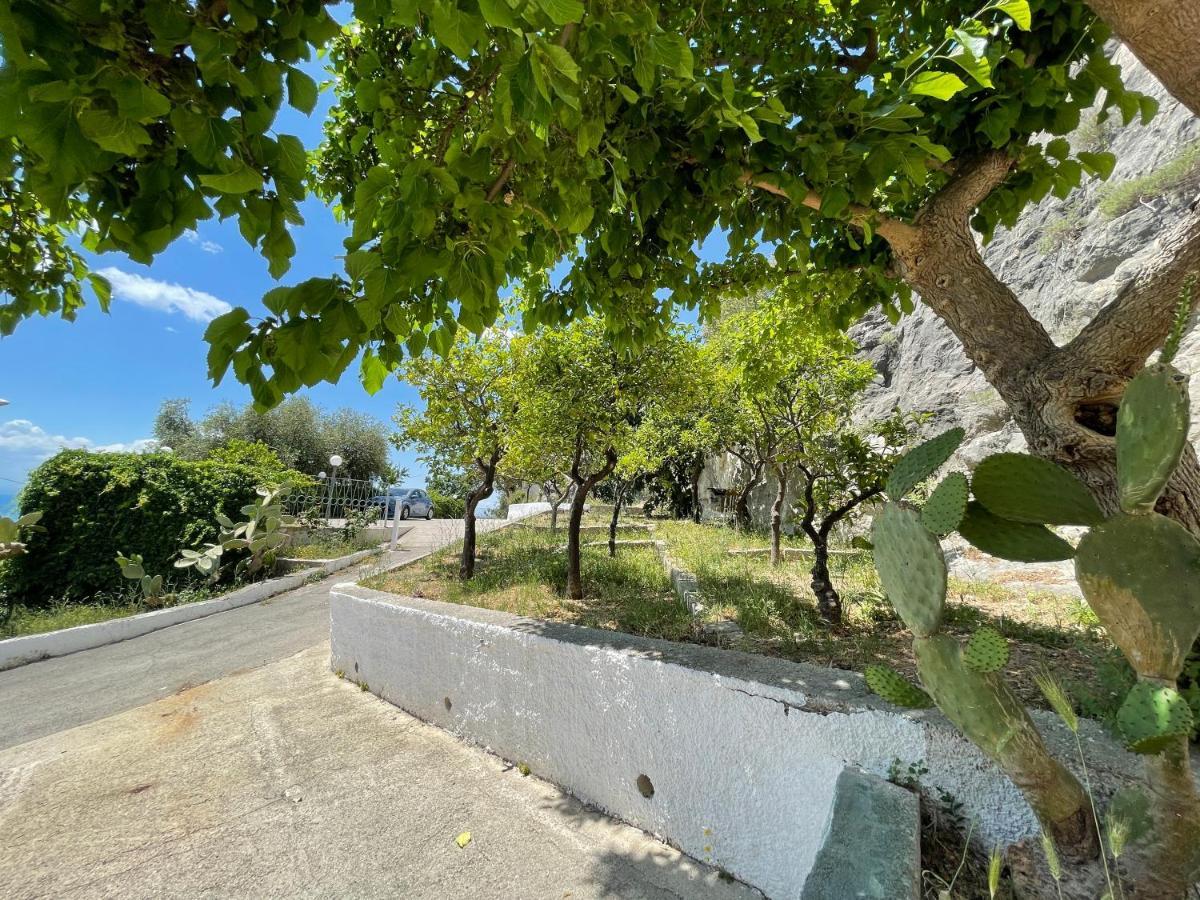 Villetta - Qui Dove Il Mare Luccica - Affitti Brevi Italia Монте-Сант'Анджело Экстерьер фото